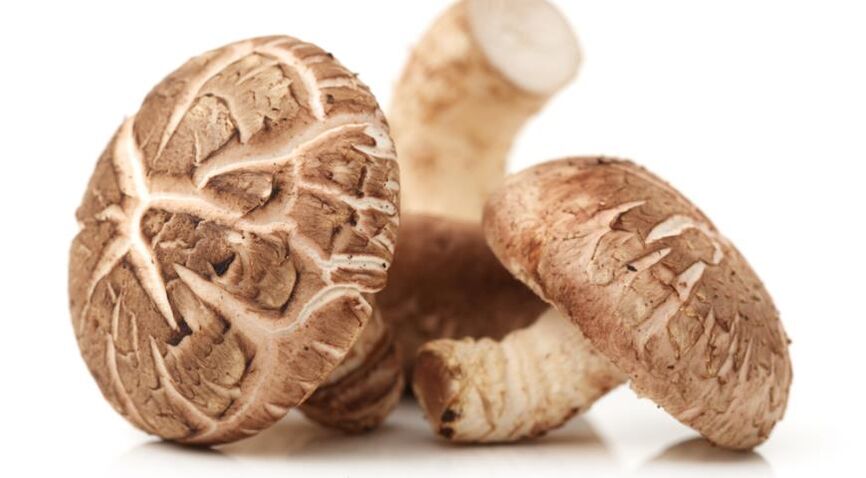 Weiprost contient des champignons shiitake